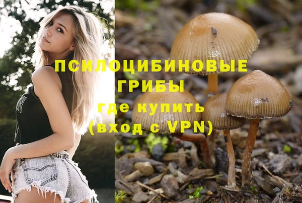 ECSTASY Горнозаводск