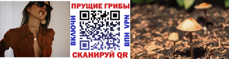 Купить  Красноуральск  Псилоцибиновые грибы прущие грибы 